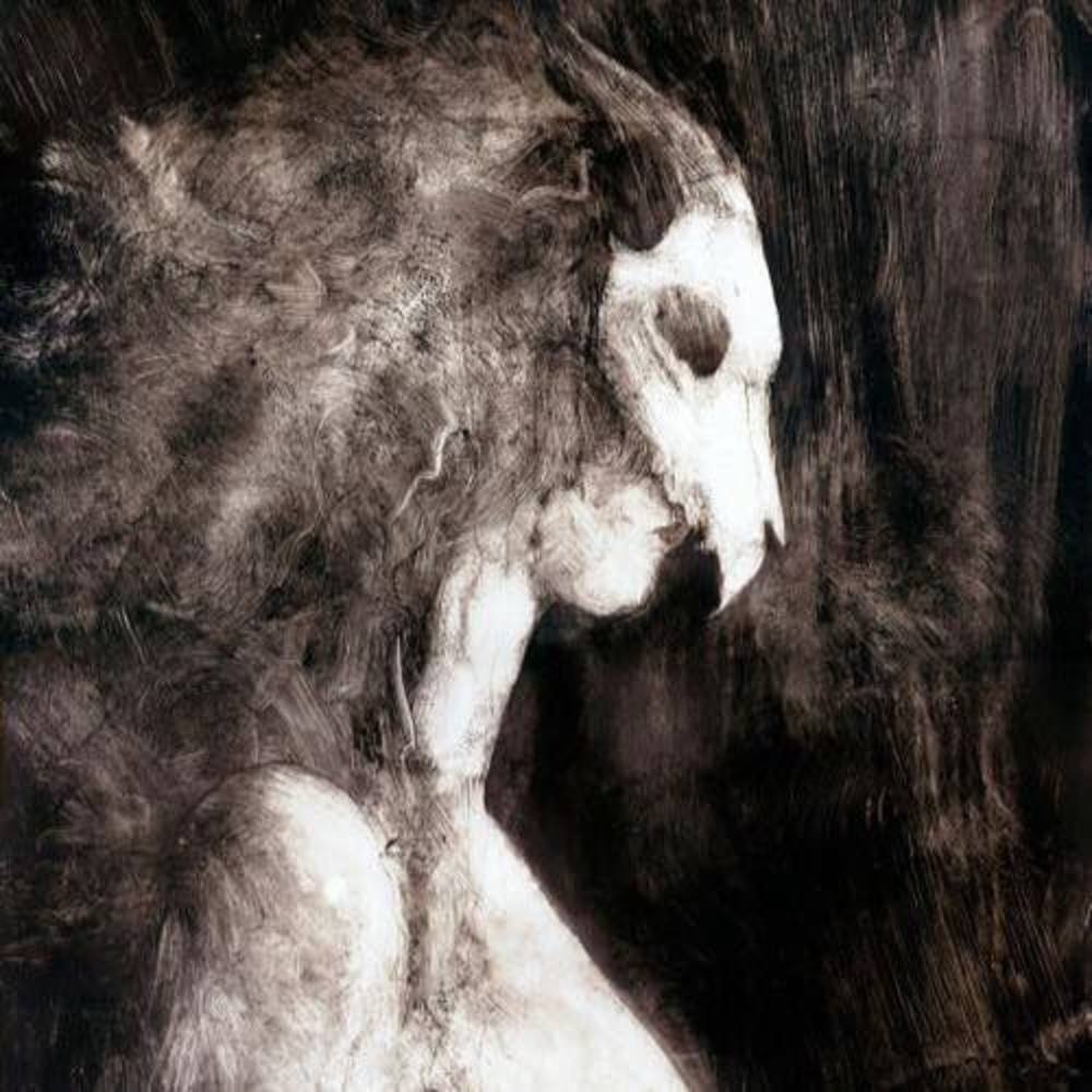 Meet your Posher, Vanessa river